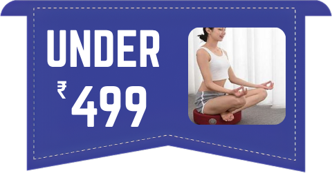 Products Max Price 499